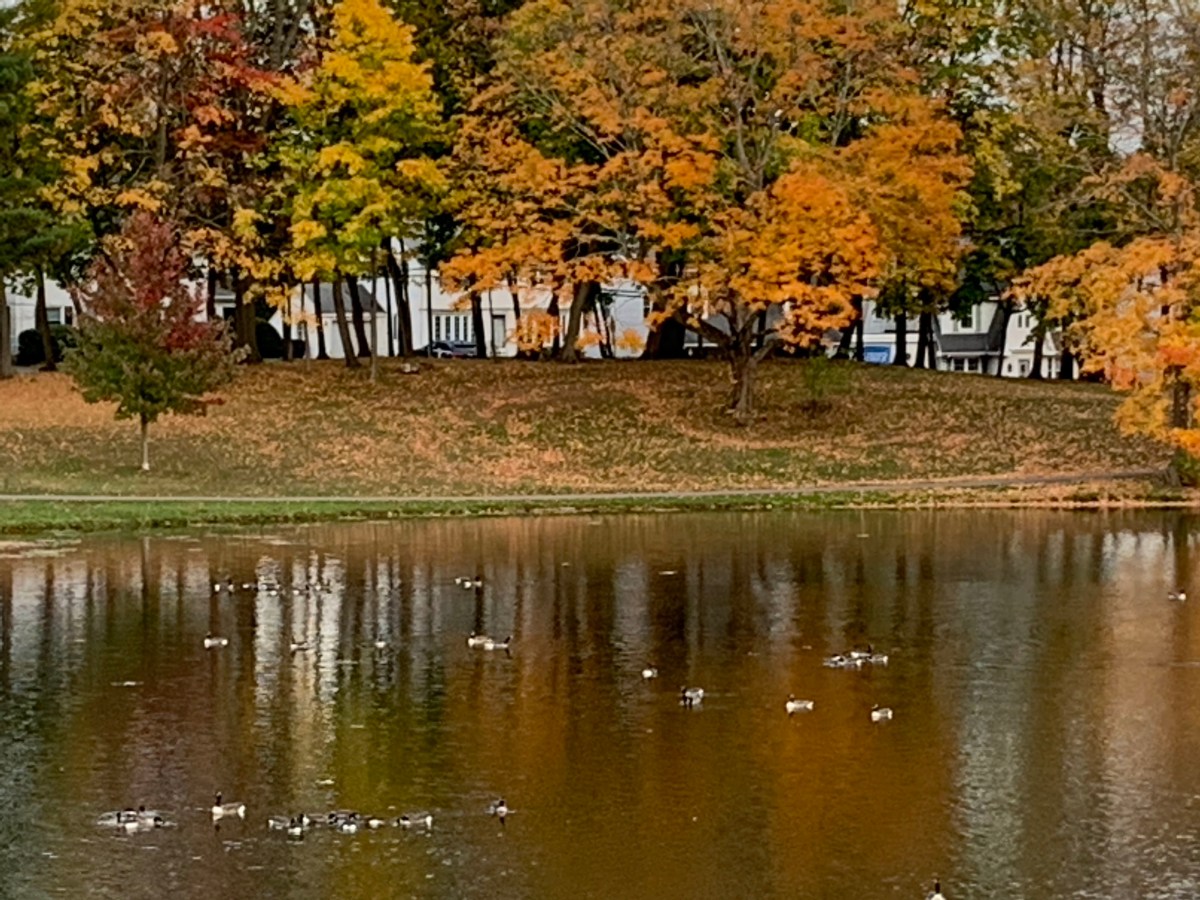 McNamara Gets AFT Union Endorsement In New Britain’s Ward&nbsp;4