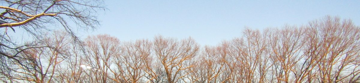 New Britain Alderman John McNamara 